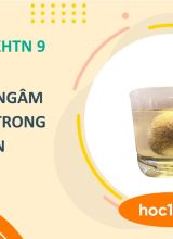 Thí nghiệm ngâm quả trứng trong giấm ăn - KHTN 9  -  Hoc10